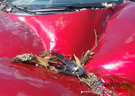 2025 Nissan Murano Sl из США, поврежденный, VIN 5N1AZ3CSXSC108275